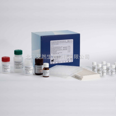 ARB10090-现货人ELISA试剂盒代测,北京供应人雌三醇(E3)ELISA试剂盒厂家-北京艾然生物科技